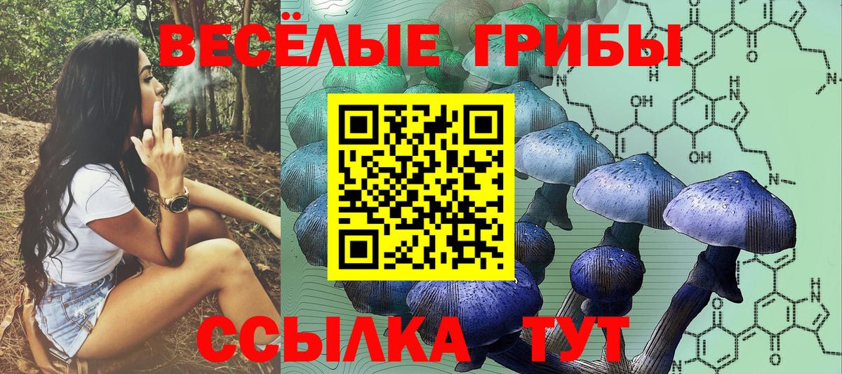 Галлюциногенные грибы мухоморы Клинцы