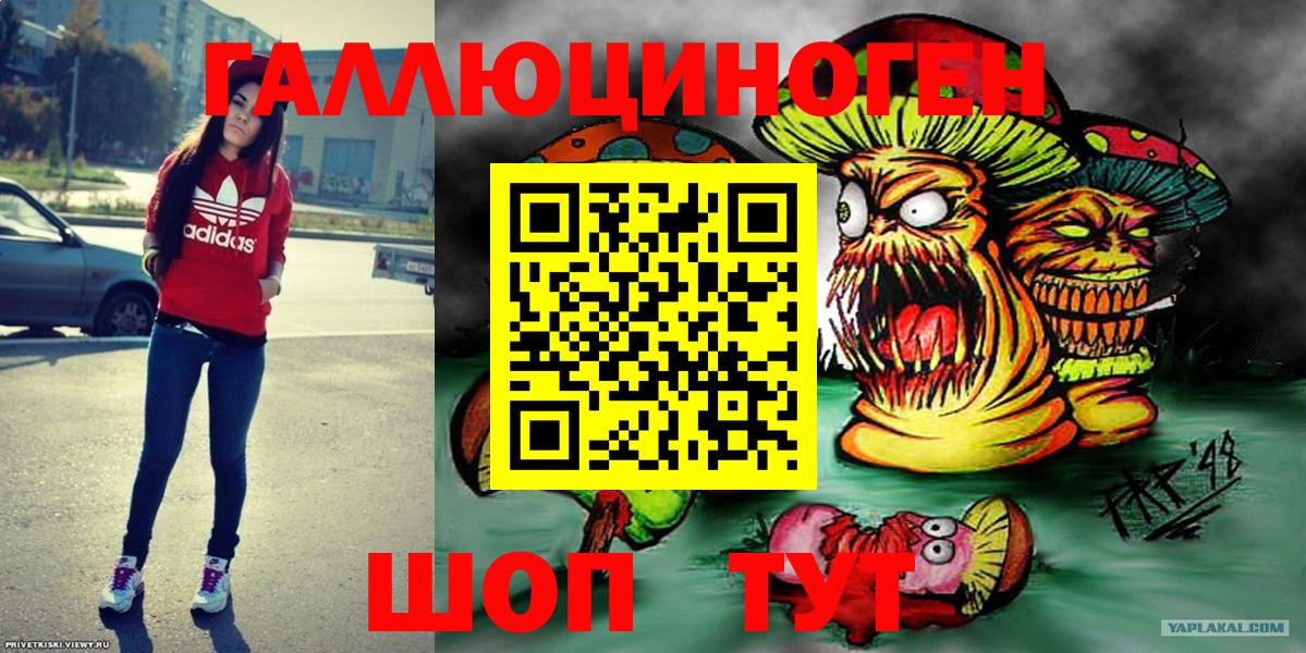 Псилоцибиновые грибы Psilocybe  Вход с VPN  Псилоцибиновые грибы Cubensis  Клинцы 